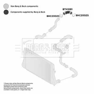 Патрубок воздушный BTH1081 BORG&BECK