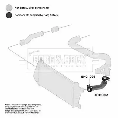 Патрубок воздушный BTH1352 BORG&BECK