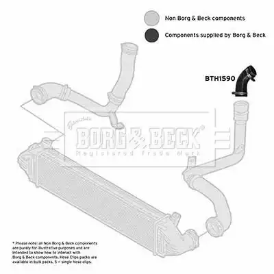 Патрубок воздушный BTH1590 BORG&BECK