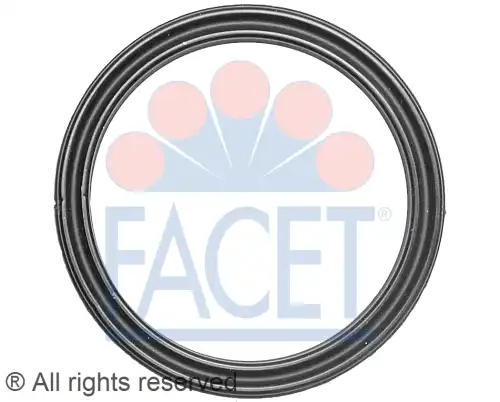 Прокладка термостата 1890610 FACET