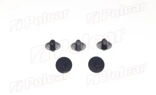 Пистон 2076221 POLCAR