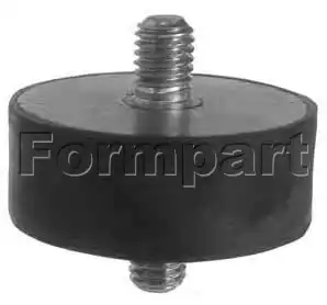 Подвеска, радиатор 11407104/S FORMPART