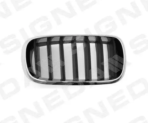 Решетка радиатора SIGNEDA PBM07105GAR