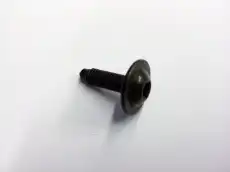 Винт со скр.цил.гол,внутр.TORX N  90807401 VAG