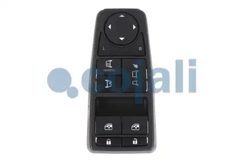 Блок управления дверной MAN 2260285 COJALI