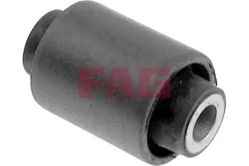 Рычаг подвески FAG 829 0051 10