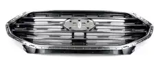 GRILLE ASSY - RADIATOR 2425622 FORD