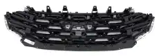 GRILLE ASSY - RADIATOR 2425622 FORD