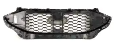 GRILLE ASSY - RADIATOR 2438185 FORD