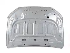 HOOD ASSY - LESS HINGES 2302114 FORD