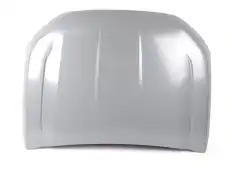 HOOD ASSY - LESS HINGES 2302114 FORD
