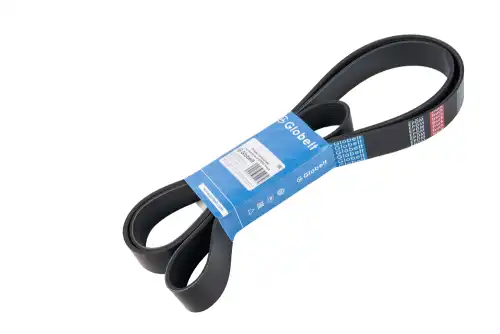 GLOBELT 10PK1810 EPDM TRUCK