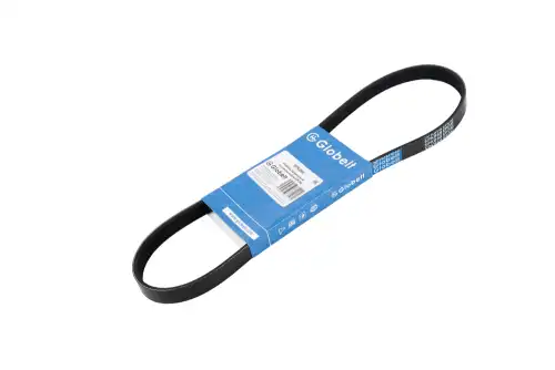 GLOBELT 5PK868 EPDM