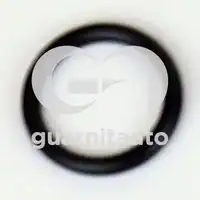 GUARNITAUTO 1836888000