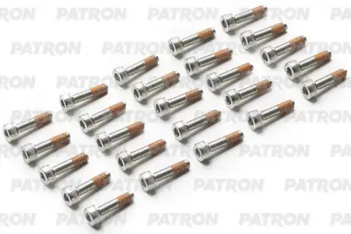 Болт M3x16mm PTR9022 PATRON