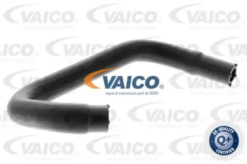 Шланг, вентиляция картера VAICO V251222