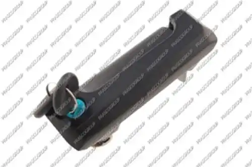 Ручка двери PRASCO VG9138101