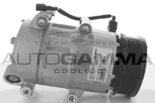 Компрессор кондиционера 118447 AUTOGAMMA