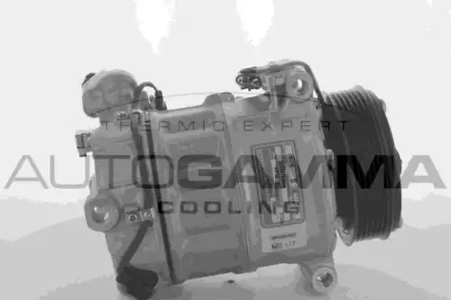 Компрессор кондиционера 118572 AUTOGAMMA