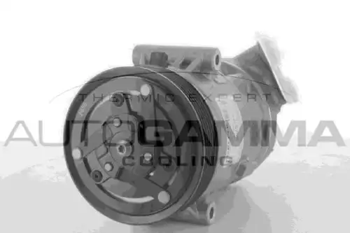 Компрессор кондиционера 118387 AUTOGAMMA
