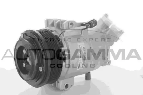 Компрессор кондиционера 10-8919 AUTOGAMMA