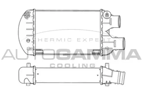 Интеркулер AUTOGAMMA 102389