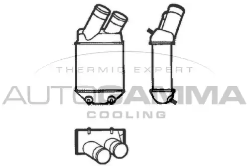 Интеркулер AUTOGAMMA 101493