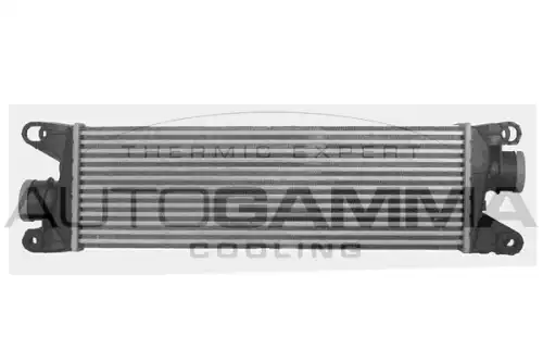 Интеркулер AUTOGAMMA 107621