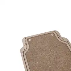Коврики в салон CARFORT RS0330