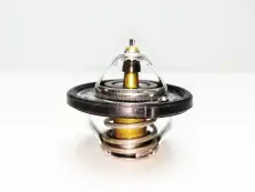 Термостат системы охлаждения NOMPARTS 255002B000