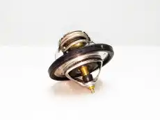 Термостат системы охлаждения NOMPARTS 255002B000