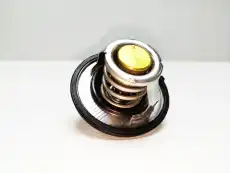 Термостат системы охлаждения NOMPARTS 255002B000