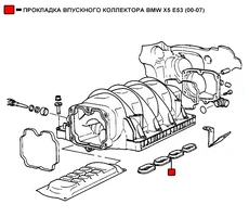 Прокладка коллектора WENDERW WERK053