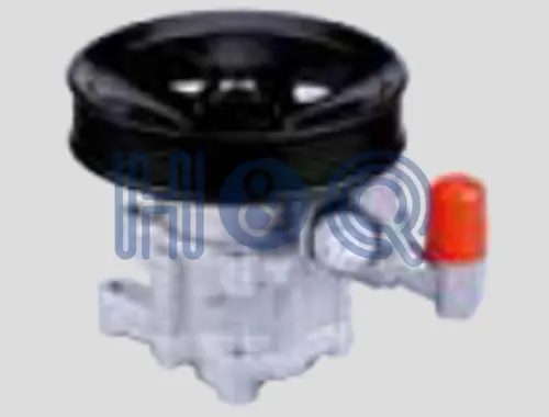 Насос гидроусилителя руля H&Q 30024016