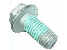 BOLT,A/TRNS FLEX PLT(M11X1.5X23.5 W/SEALER) 11569956 GMC