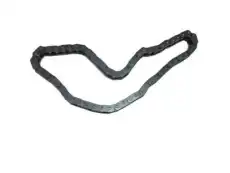 CHAIN,CM/SHF TMG(ACDelco #12646386) GMC