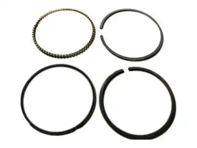 RING KIT,PSTN(STD) 19208677 GMC