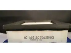 ELEMENT,A/CL(ACDelco #A1615C) 24577608 PONTIAC