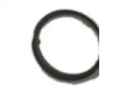 RING KIT,PSTN(PART OF 101)(STD) 19208677 CADILLAC