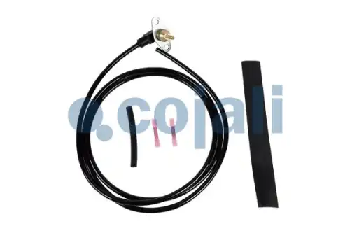 Датчик температуры автомобильный COJALI 2260876