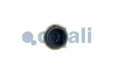 КОНТАКТНЫЙ ДАТЧИК ДАВЛЕНИЯ 2263033 COJALI