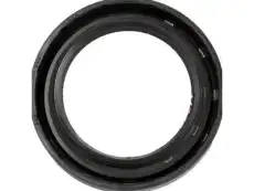SEAL,TRFER CASE INPUT SHF(SEALING LIPS FOR DRY CAVITY) 19299084 GMC