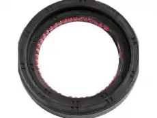 SEAL,TRFER CASE INPUT SHF(SEALING LIPS FOR DRY CAVITY) 19299084 GMC