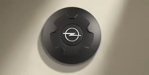 Колпак ступицы колеса 24432643 OPEL