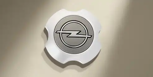 Колпак ступицы колеса 13153232 OPEL