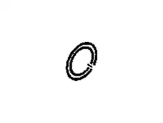 SEAL,FRT DIFF BRG ADJR(O RING)(xKIT3)(ACDelco #15521872) HUMMER