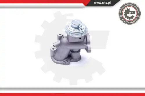 Клапан EGR 14SKV180 SKV