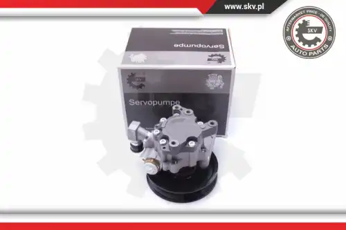 Насос гидроусилителя руля SKV 10SKV235