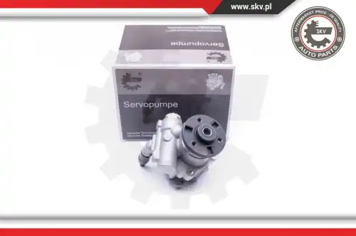 Насос гидроусилителя руля SKV 10SKV246