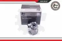 Насос гидроусилителя руля SKV 10SKV249